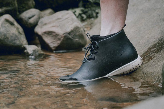 Ccilu XPRESOLE PANTO MEN (HIGH TOP)