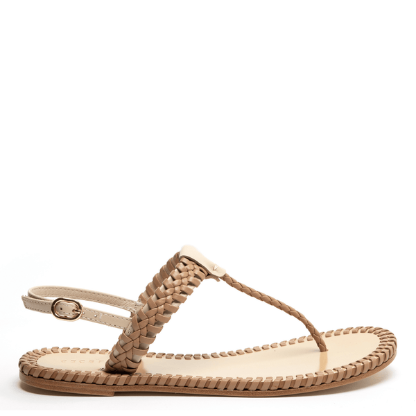 cecelia new york FRENZE Sandal