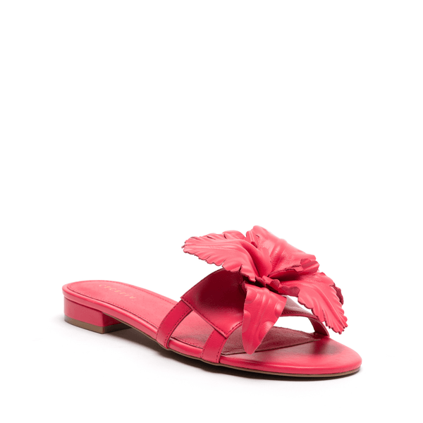 Cecelia New York LILA