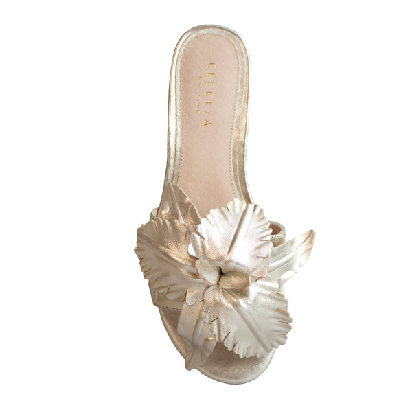 cecelia new york LILA Flats