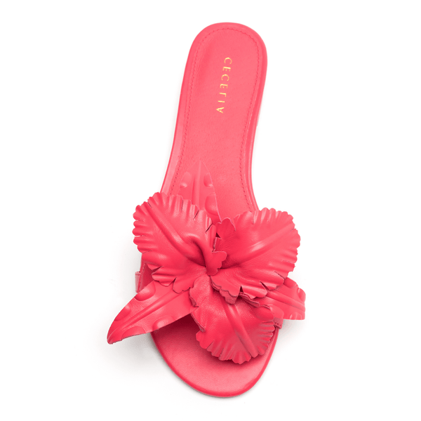 cecelia new york LILA