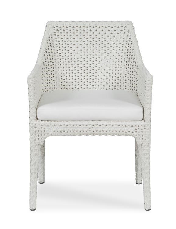 Century D44-52 - Tangier Dining Arm Chair