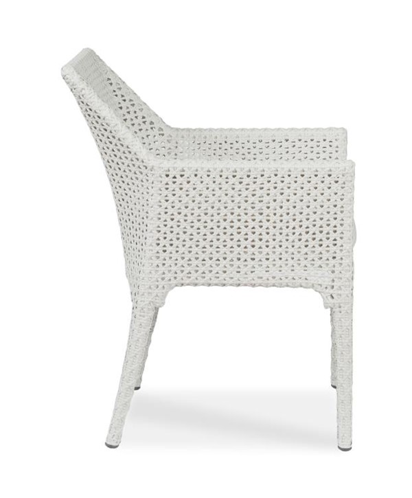 Century D44-52 - Tangier Dining Arm Chair