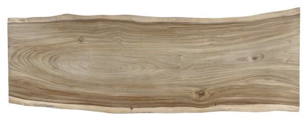 Century CR9-1-130-G-972 - 130" Guan Slab Dining Table - Polished Nickel Base