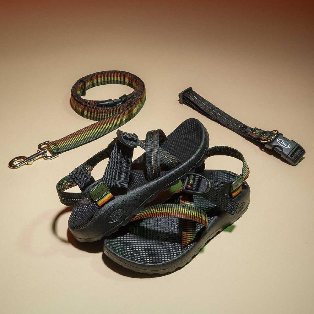 chaco Chaco x Bob Marley Dog Collar One Love Lines