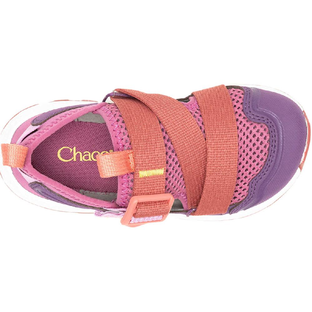 chaco Little Kid's Drifter Purple Rose