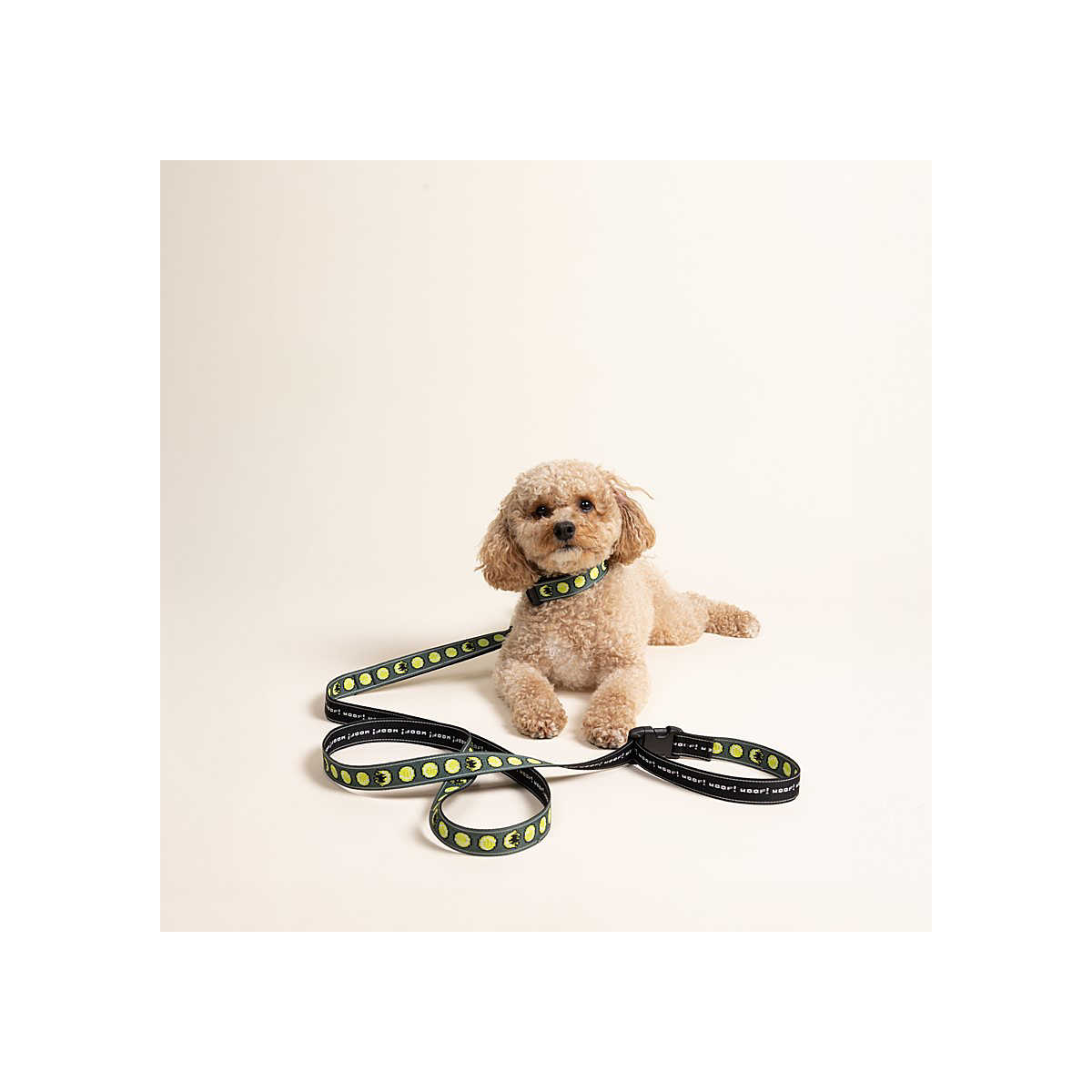 chaco Woof Woof Leash Chewin' Dark Green