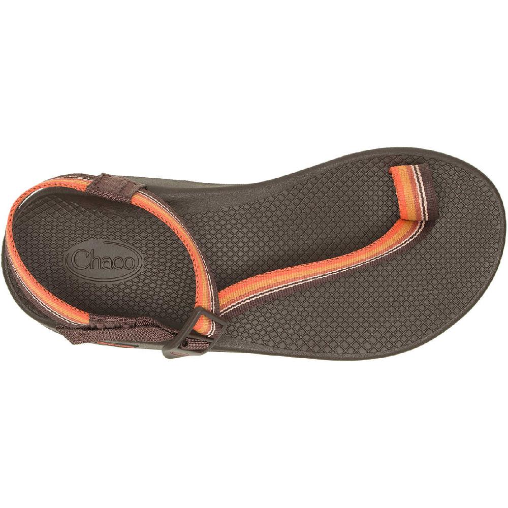 chaco Men's Bodhi Adjustable Strap Classic Sandal Belt Java