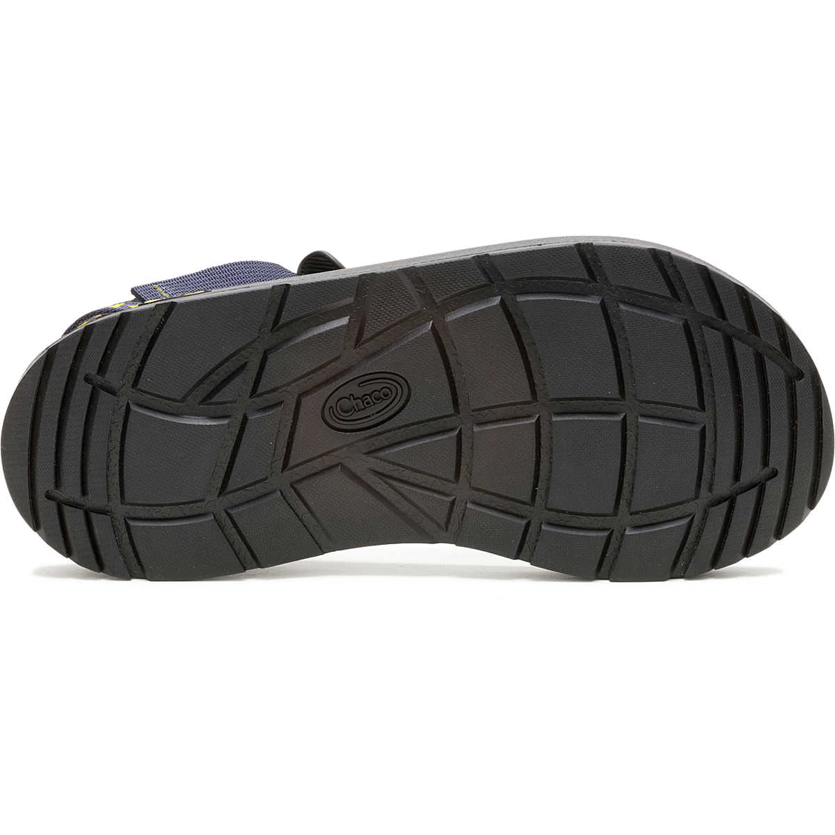 Chaco Men's Bodhi Adjustable Strap Classic Sandal Wedge Deep Space