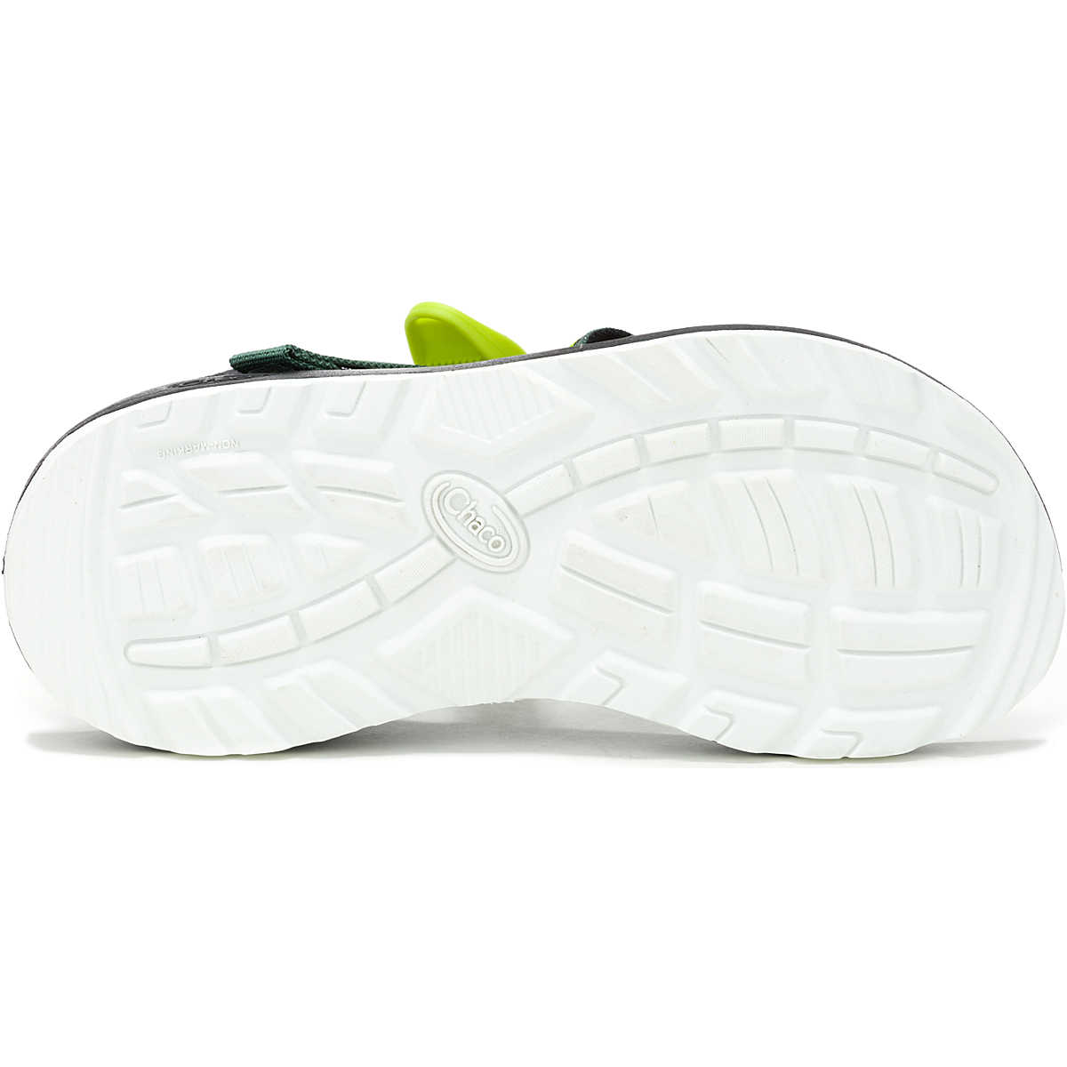 Chaco Women's Z/1 Woof Woof Adjustable Strap Classic Sandal Chewin' Dark Green