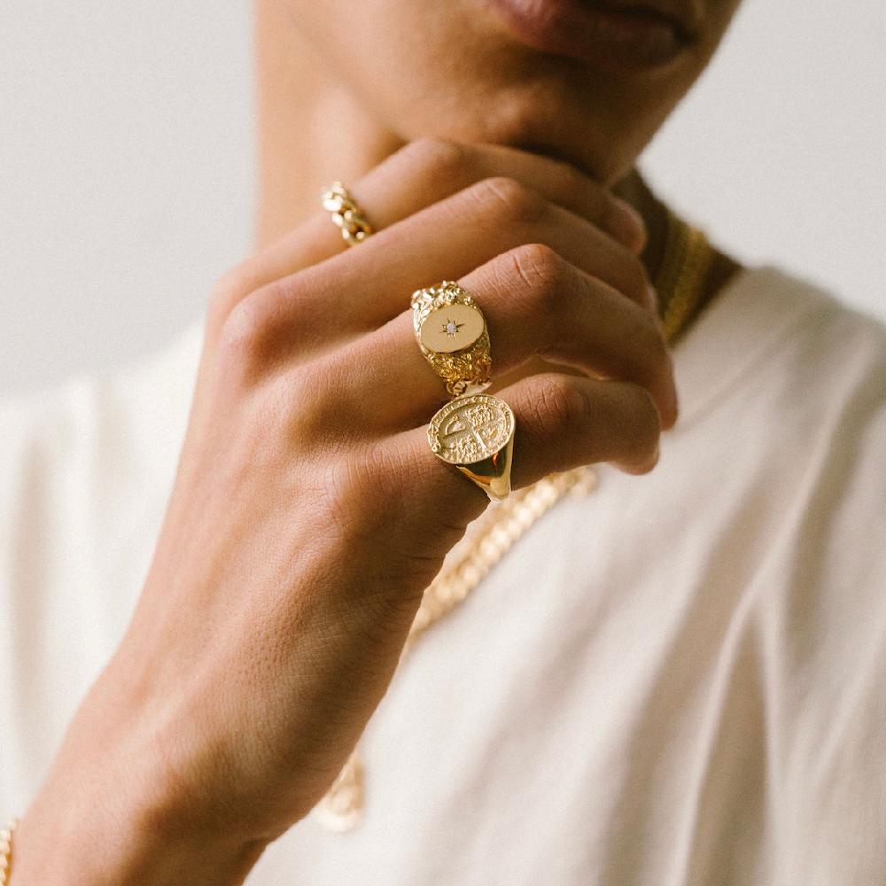 Chained & Able Coat Of Arms Signet RINGS