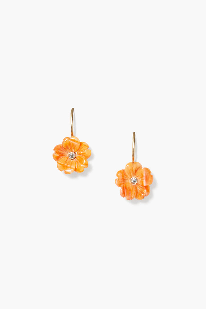 chan luu 14k Poppy Earrings Lion's Paw Earrings