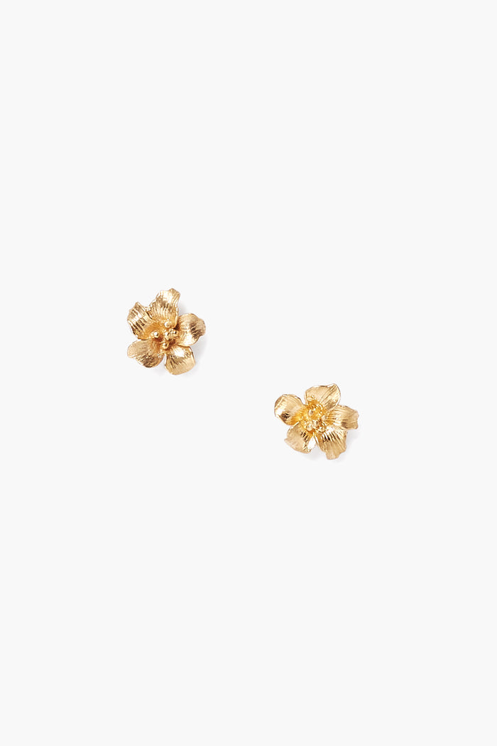 chan luu Gold Hibiscus Stud Earrings Earrings