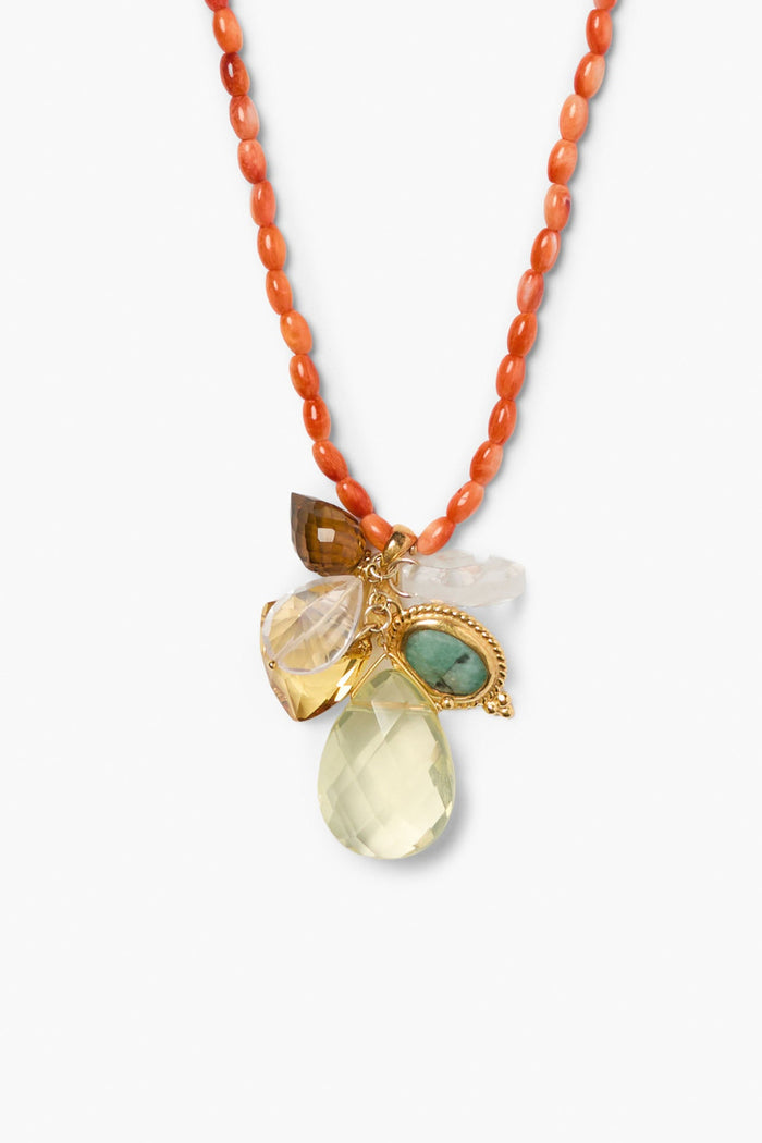 chan luu Trove Charm Necklace Multi Necklaces