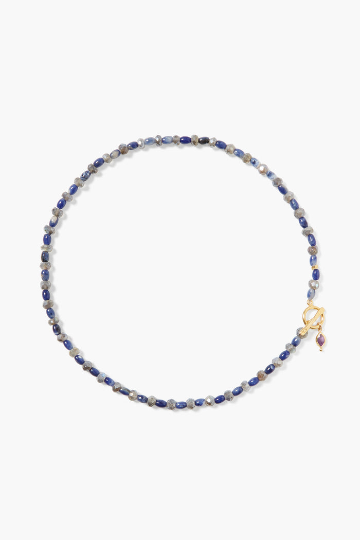 chan luu Indira Toggle Necklace Sodalite Mix Necklaces