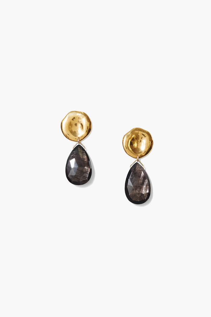 chan luu Yasmine Coin Drop Earrings Hypersthene Earrings