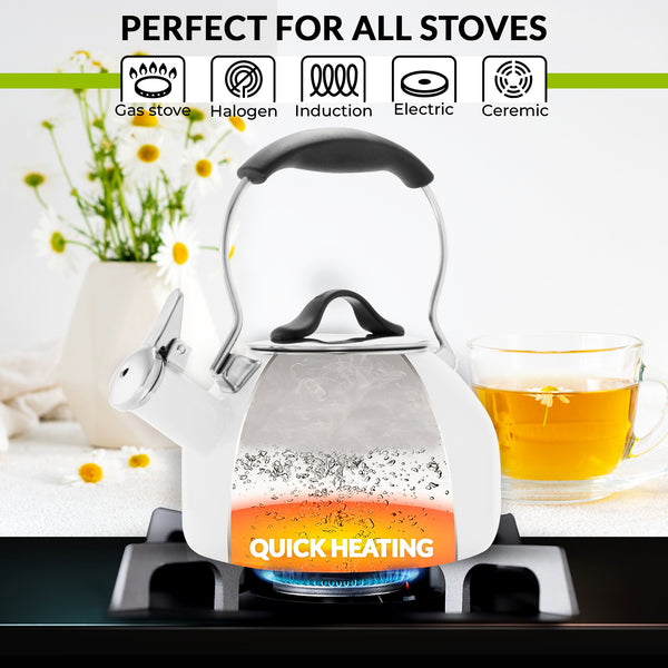 Chantal Enamel-on-Steel Talavera Teakettle (1.8 Qt.)