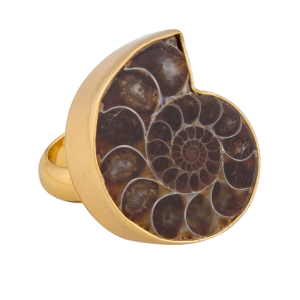 Charles Albert Alchemia Ammonite Adjustable Ring Alchemia Rings