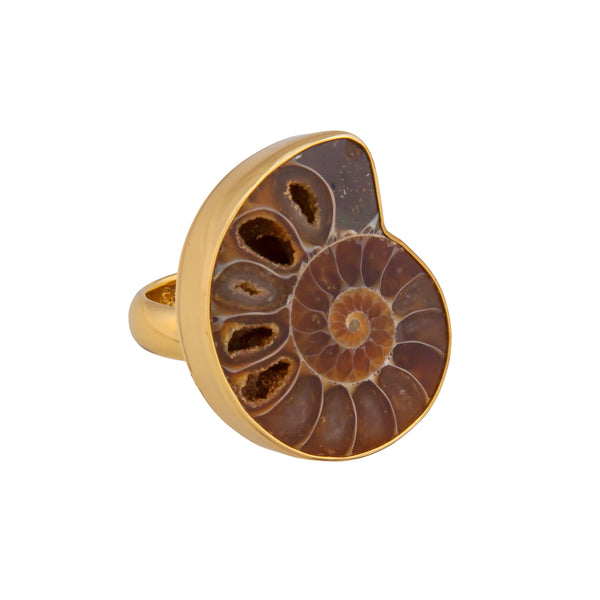 Charles Albert Alchemia Ammonite Adjustable Ring Alchemia Rings