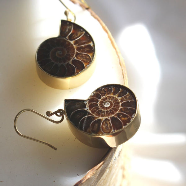 Charles Albert Alchemia Ammonite Earrings Alchemia Earrings
