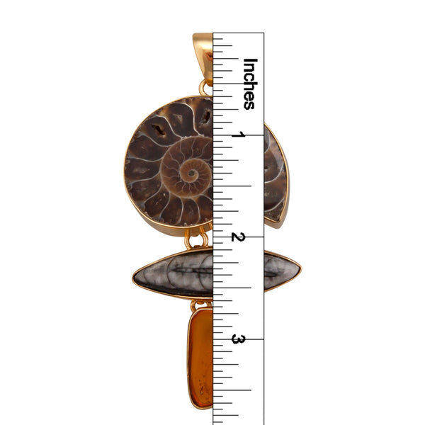 Charles Albert Alchemia Ammonite Orthoceras & Amber Pendant Alchemia Pendants