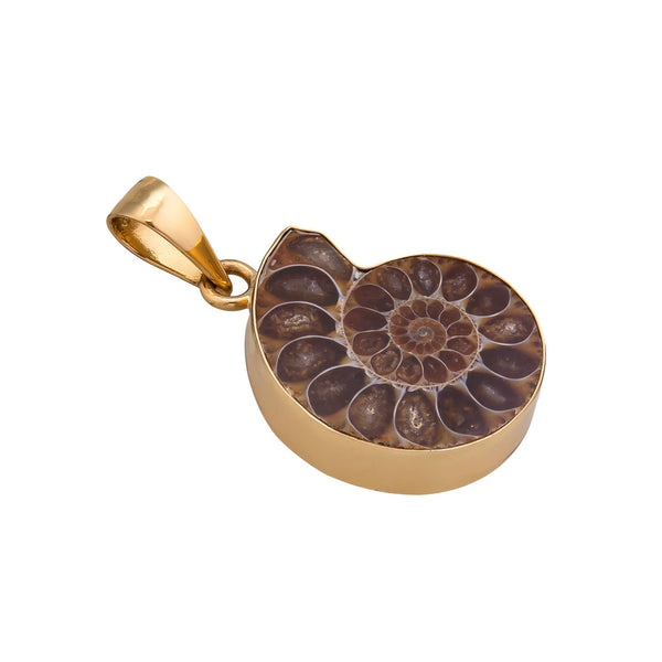 Charles Albert Alchemia Ammonite Pendant Alchemia Pendants