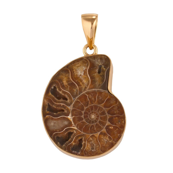 Charles Albert Alchemia Ammonite Pendant Alchemia Pendants