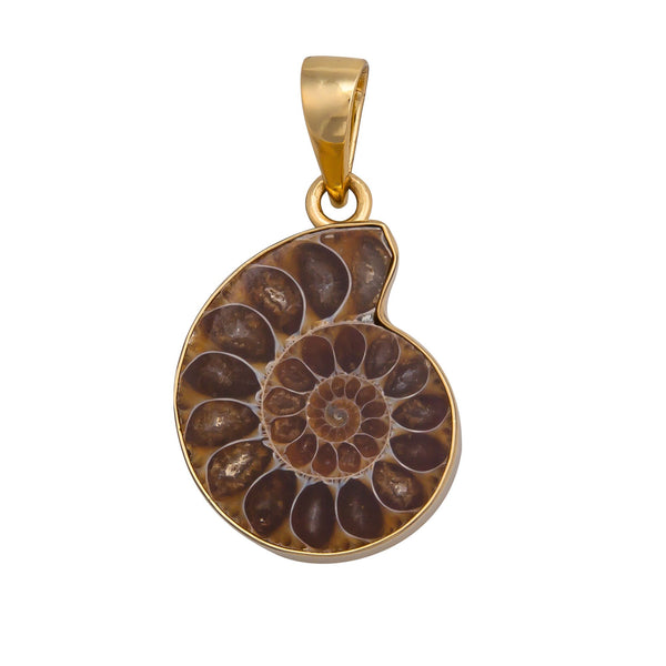 charles albert Alchemia Ammonite Pendant Alchemia Pendants