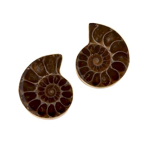 charles albert Alchemia Ammonite Post Earrings Alchemia Earrings