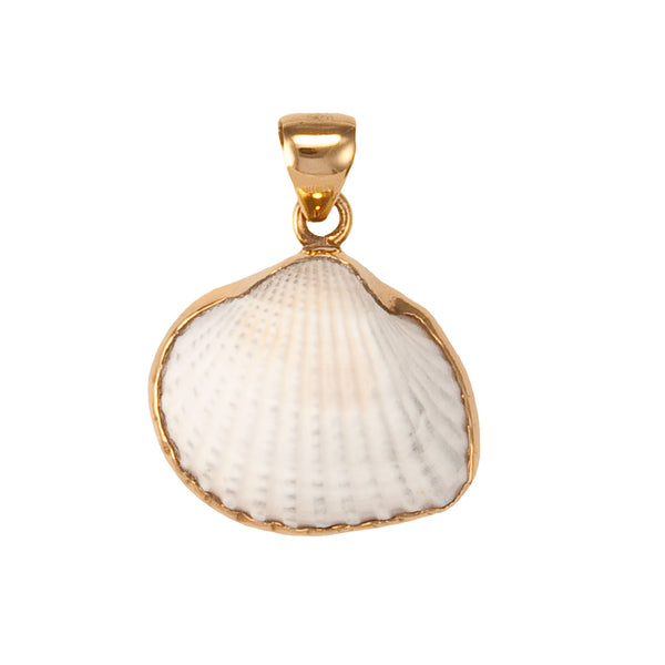 charles albert Alchemia Ark Shell Pendant Alchemia Pendants