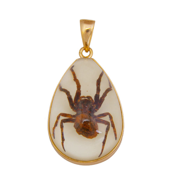 charles albert Alchemia Brown Recluse Glow in the Dark Spider Pendant Alchemia Pendants