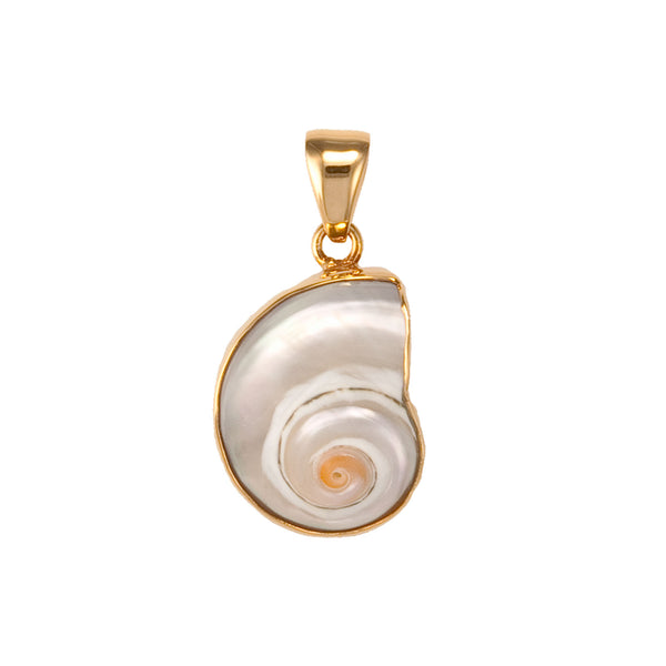 Charles Albert Alchemia Cinnerus Shell Pendant Alchemia Pendants