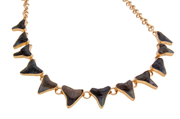 Charles Albert Alchemia Fossil Shark Teeth Necklace Alchemia Necklaces