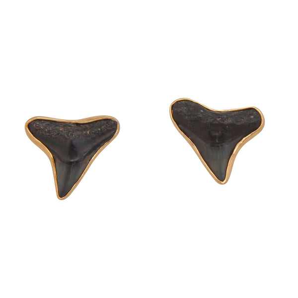 Charles Albert Alchemia Fossil Shark Teeth Post Earrings Alchemia Earrings