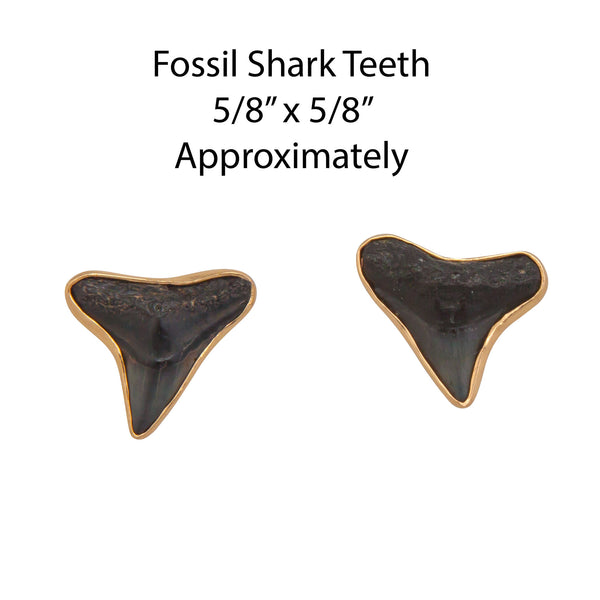 Charles Albert Alchemia Fossil Shark Teeth Post Earrings Alchemia Earrings