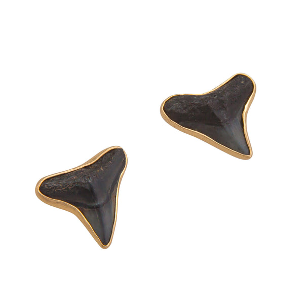 charles albert Alchemia Fossil Shark Teeth Post Earrings Alchemia Earrings