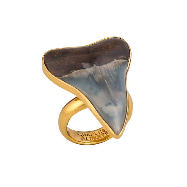 Charles Albert Alchemia Fossil Shark Tooth Adjustable Ring Alchemia Rings