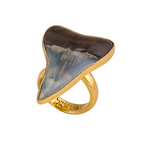 Charles Albert Alchemia Fossil Shark Tooth Adjustable Ring Alchemia Rings