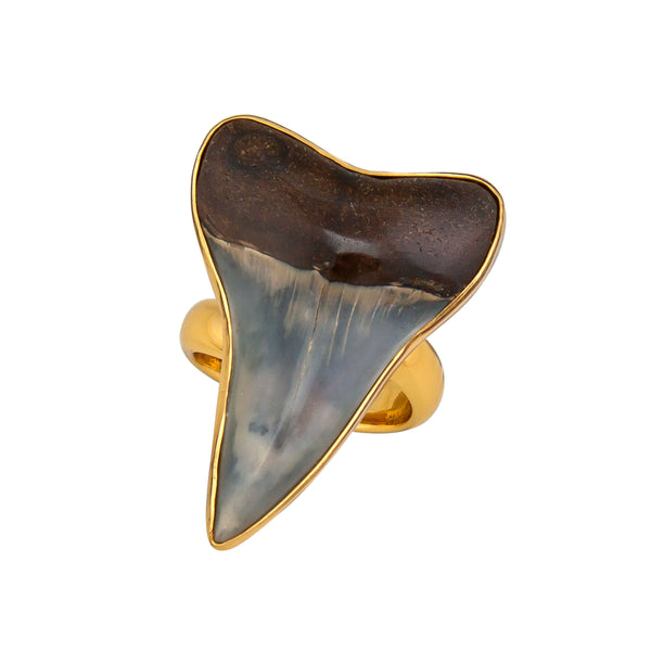 charles albert Alchemia Fossil Shark Tooth Adjustable Ring Alchemia Rings
