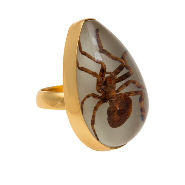 Charles Albert Alchemia Glow In The Dark Brown Recluse Spider Adjustable Ring Alchemia Rings