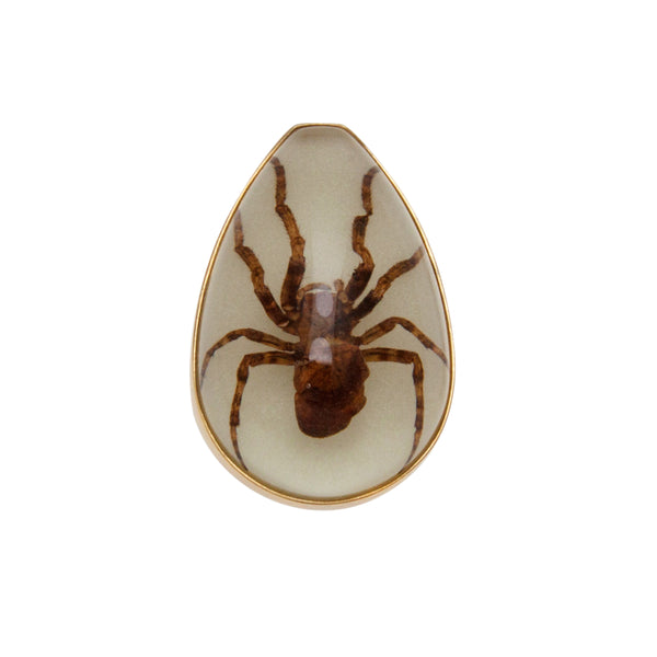 charles albert Alchemia Glow in the Dark Brown Recluse Spider Adjustable Ring Alchemia Rings