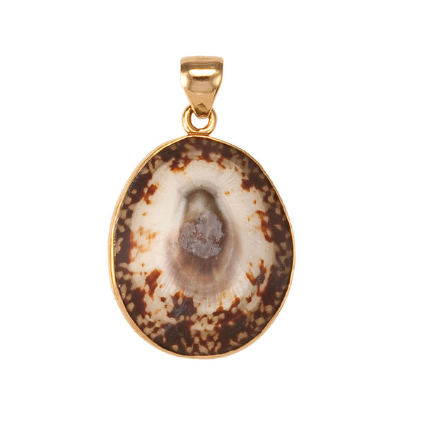 charles albert Alchemia Limpet Shell Pendant Alchemia Pendants
