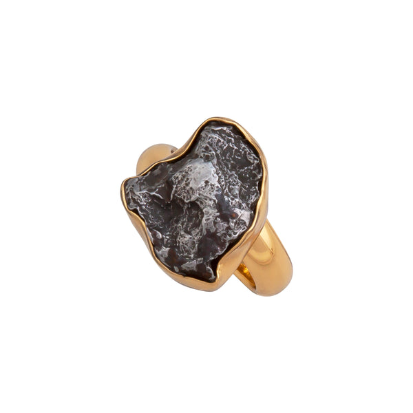 Charles Albert Alchemia Meteorite Adjustable Ring Alchemia Rings