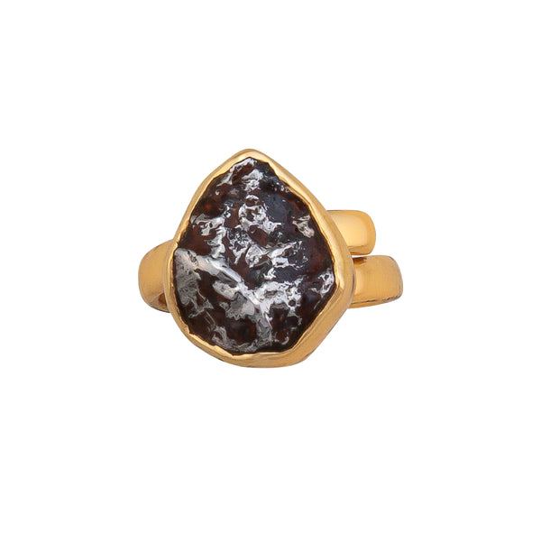 Charles Albert Alchemia Meteorite Adjustable Ring Alchemia Rings