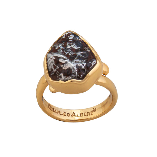 Charles Albert Alchemia Meteorite Adjustable Ring Alchemia Rings