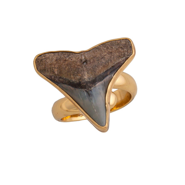 Charles Albert Alchemia Mini Fossil Shark Tooth Adjustable Ring Alchemia Rings