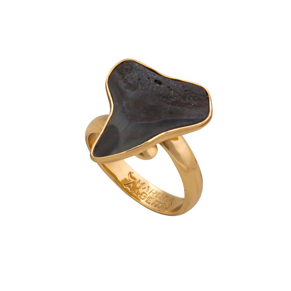 Charles Albert Alchemia Mini Fossil Shark Tooth Adjustable Ring Alchemia Rings