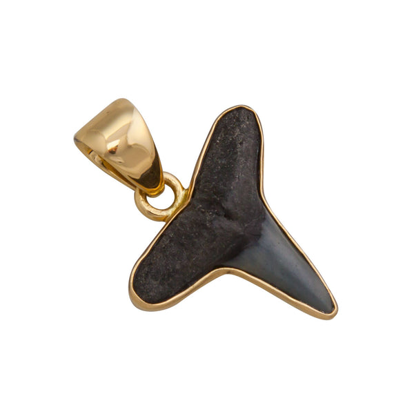 Charles Albert Alchemia Mini Fossil Shark Tooth Pendant Alchemia Pendants