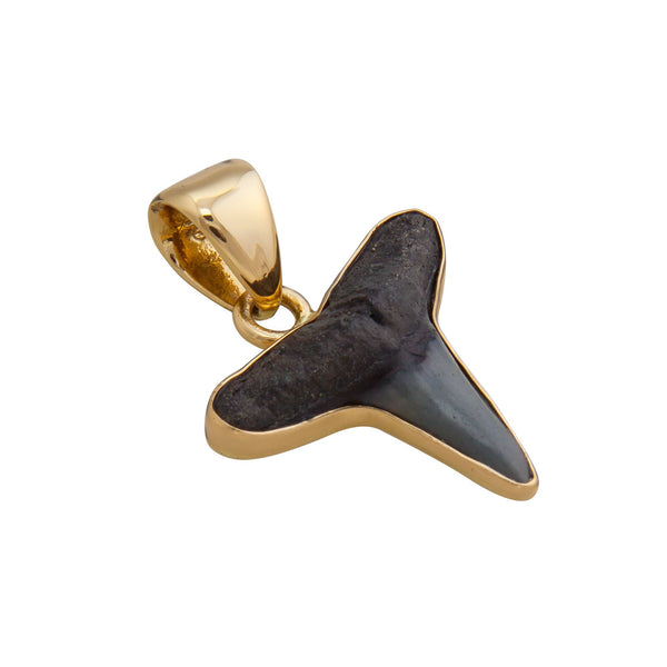 Charles Albert Alchemia Mini Fossil Shark Tooth Pendant Alchemia Pendants