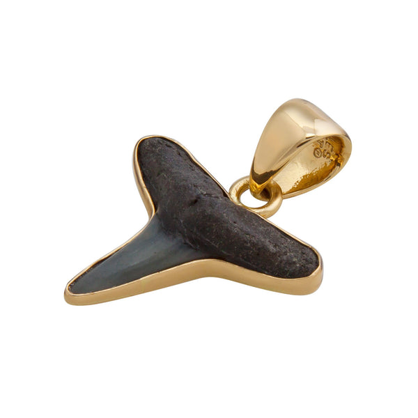 Charles Albert Alchemia Mini Fossil Shark Tooth Pendant Alchemia Pendants